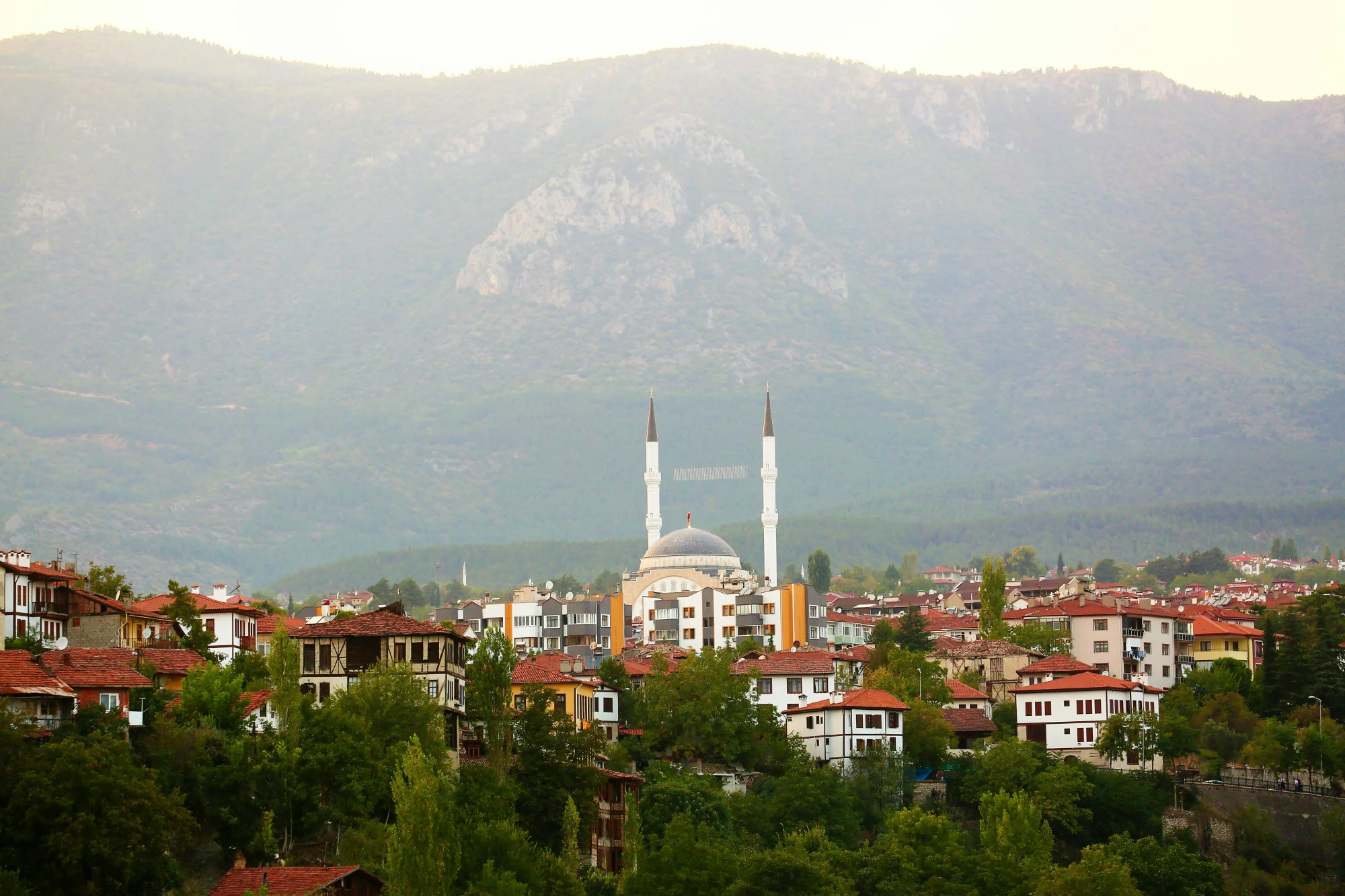 Balkon Kapısı Sineklik Maliyetleri: Sıkça Sorulan Sorular