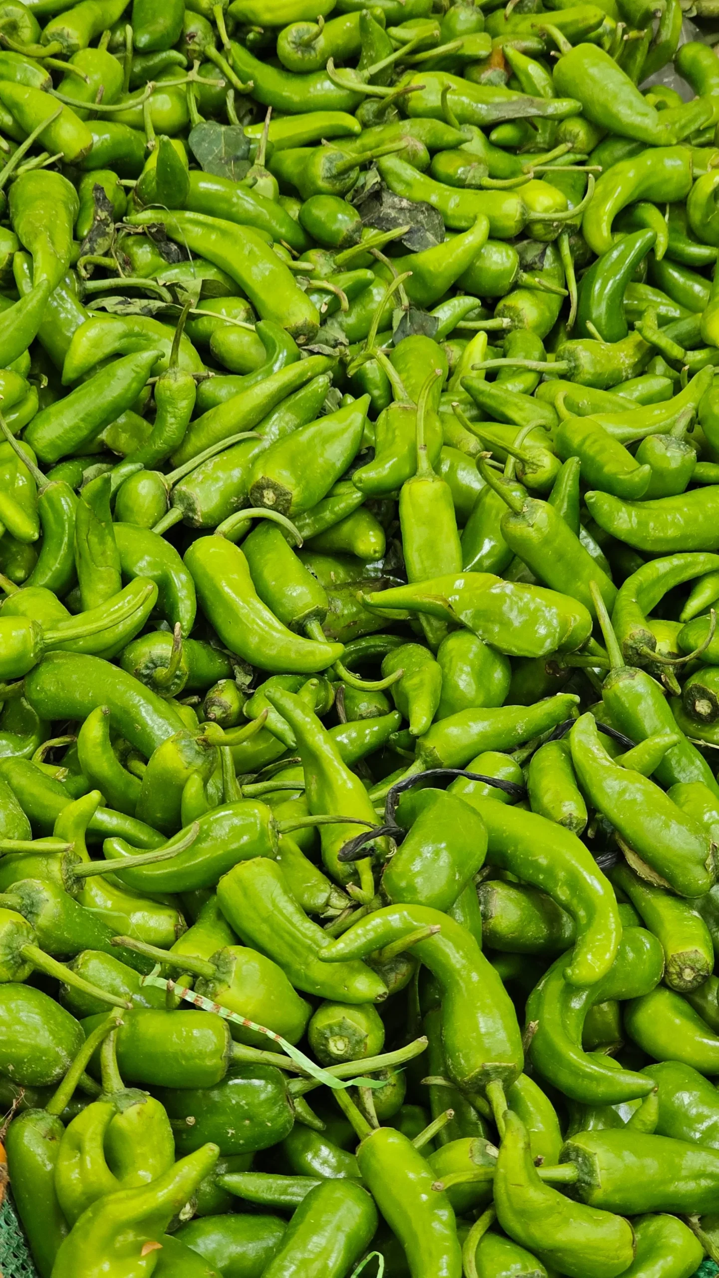 Market Ürünleri Fiyatlarının Geleceği