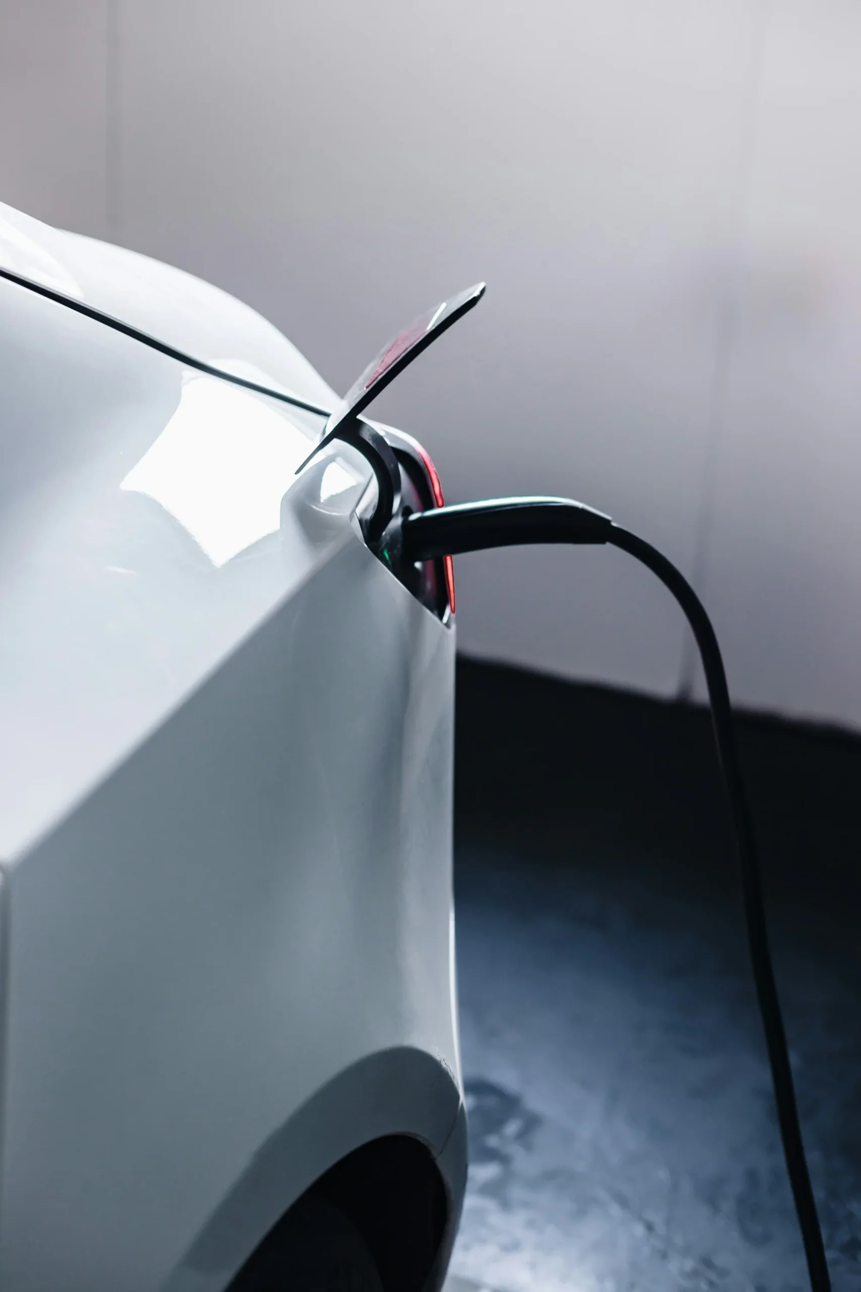Piyasa Analizi: Farklı Elektrikli Araç Modelleri