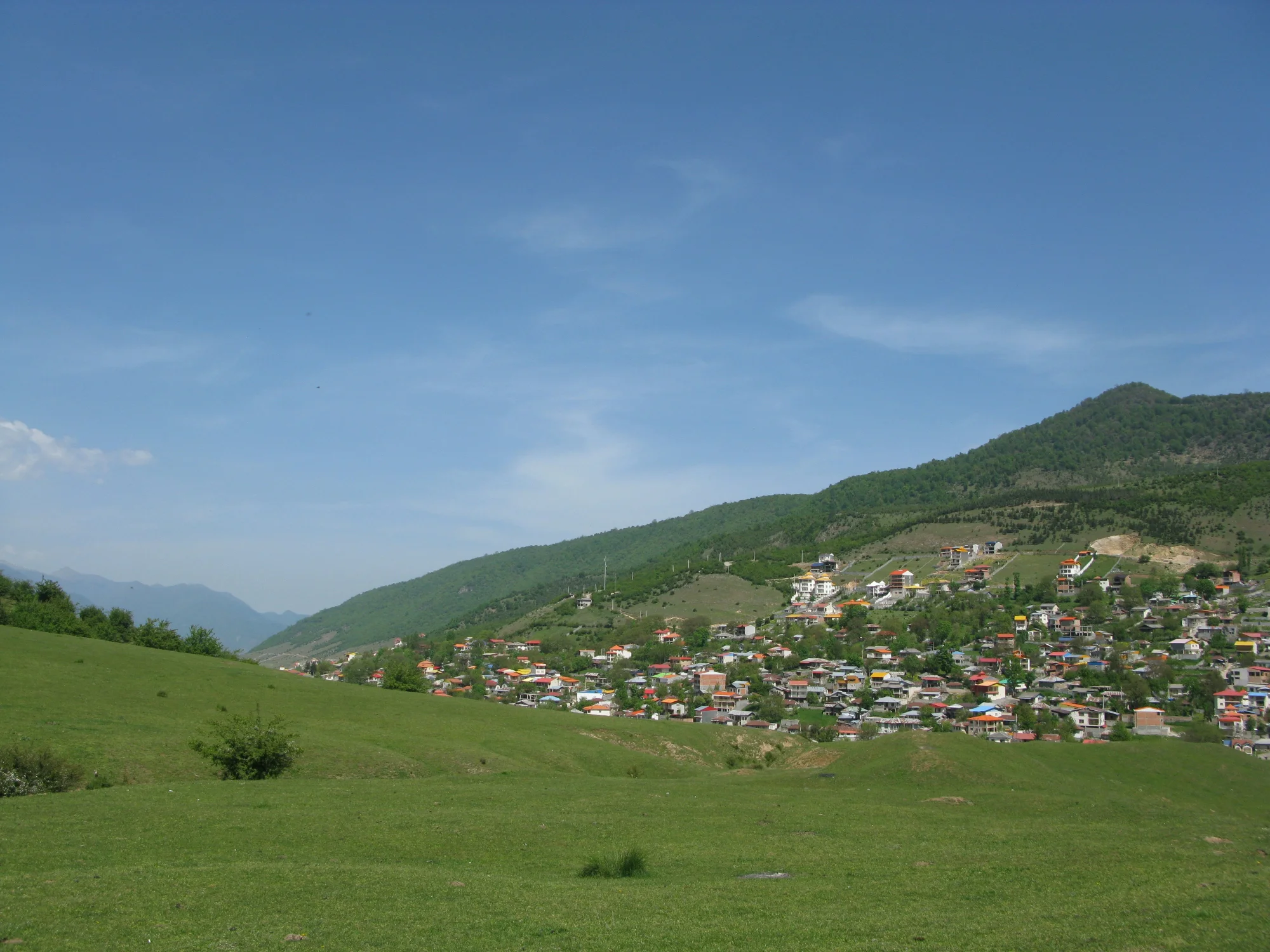 Sineklik Yaptırırken Dikkat Edilmesi Gerekenler