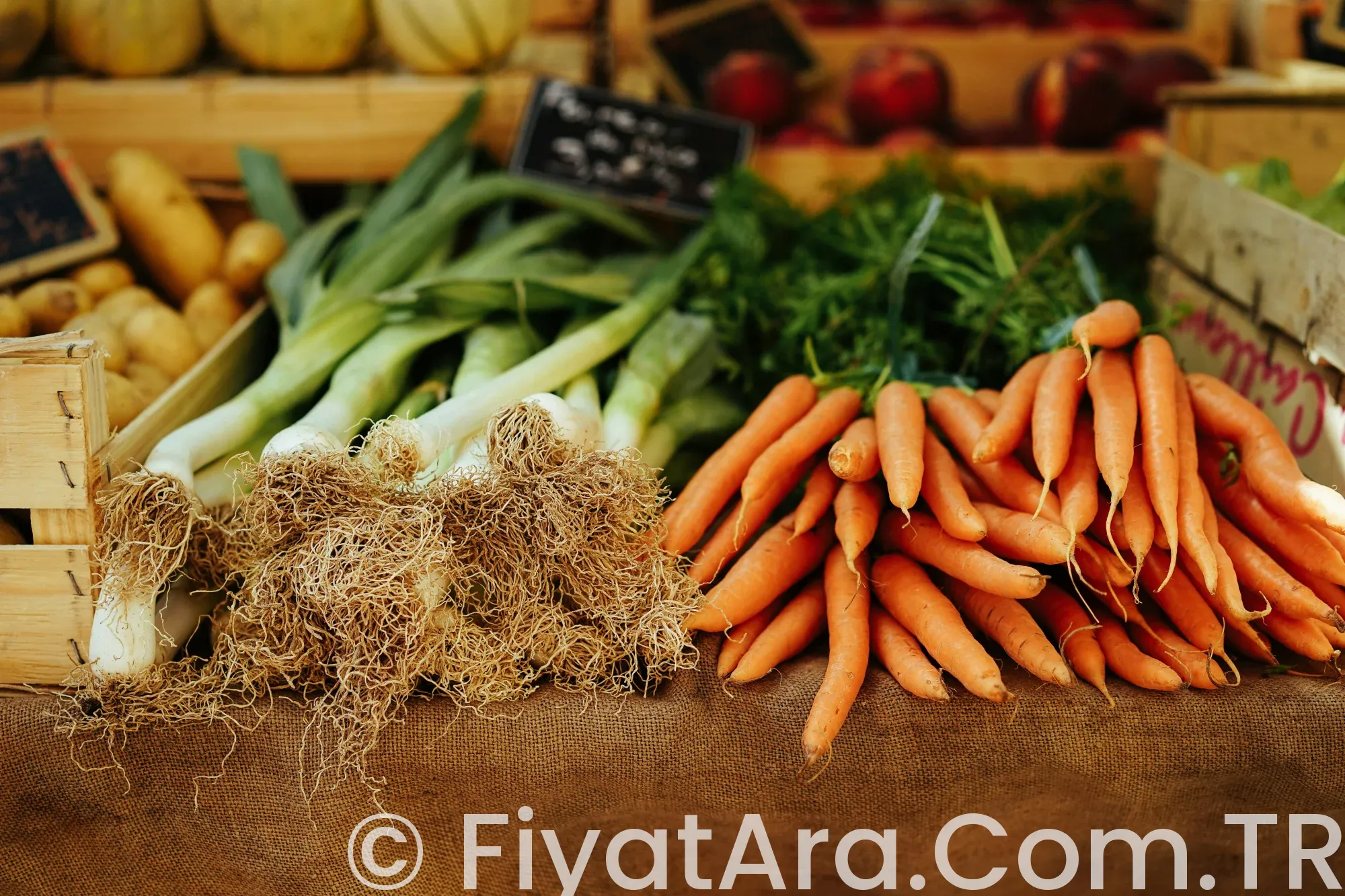 Market Fiyatları ve Ekonomik Trendler