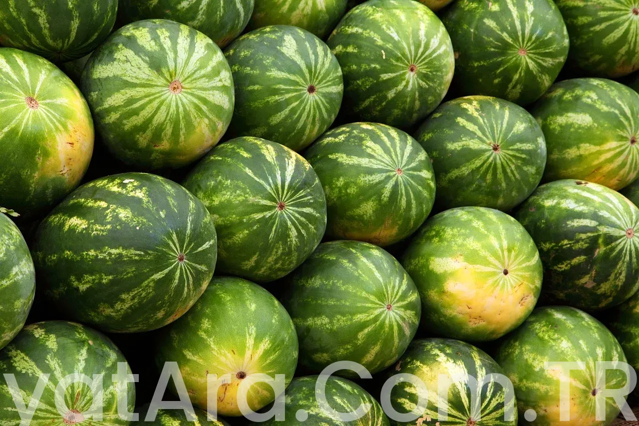Sık Sorulan Sorular